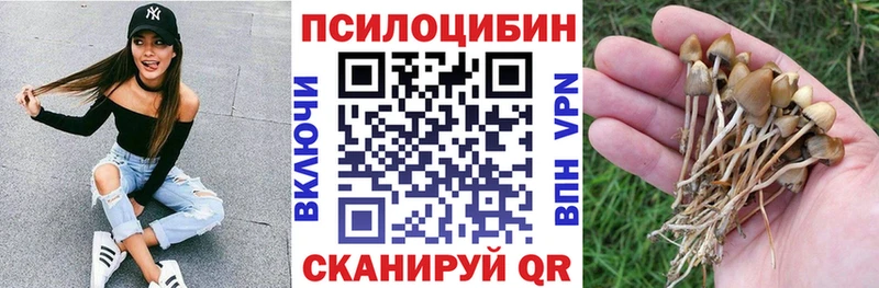 Галлюциногенные грибы мицелий продажа наркотиков Истра